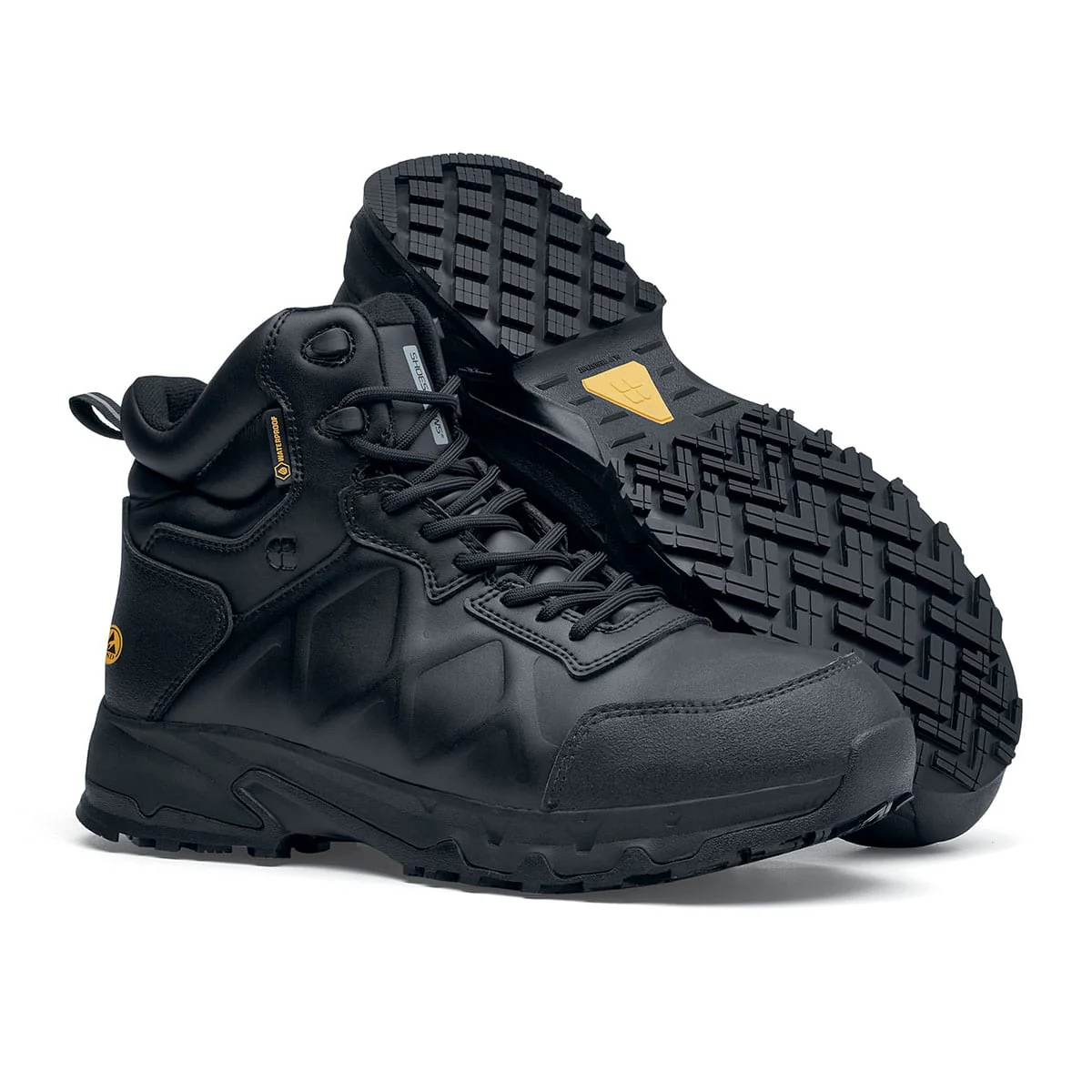 Thumbnail 11
